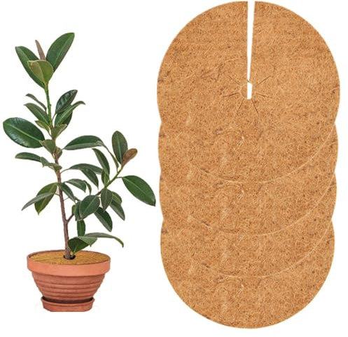 Wanfoou Lot de 4 disques de paillage en noix de coco, tapis de protection pour plantes, protection hivernale pour plantes en pot, protection des plantes en coco, protection contre le gel, protection