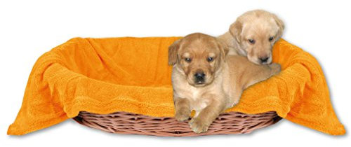 Bestlivings Tierdecke Hundedecke Kuscheldecke Haustierdecke, kuschelig weich in vielen erhältlich (90x140 cm/orange - apricot)