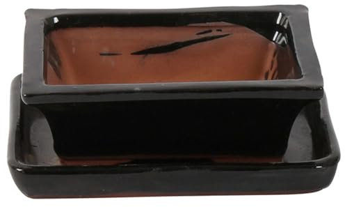 Bonsai Pot with Saucer - Rectangular 15cm - Terracotta - Perfect for Bonsai Trees and Succulents