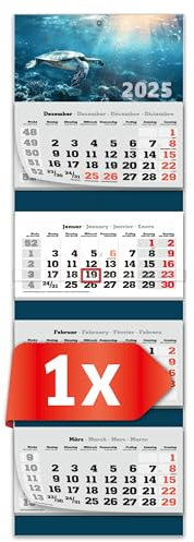 PRIMUS PRINT XXL Kalender 2025 - Mehrblock Wandkalender - 4-Monatskalender - Jahres Blockkalender - mit Datum Schieber - inklusive Feiertagen und Ferien - verschiedene Motive - [ 1x Schildkröte ]