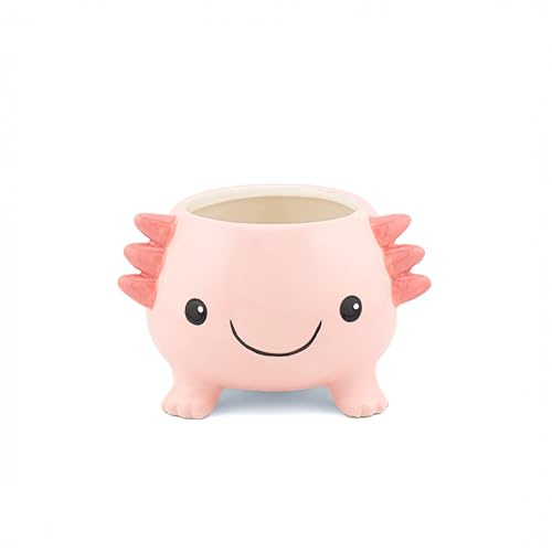 Sass & Belle Axolotl Planter - Indoor Plant Pot, Animal Design for Cactus or Succulent, Ceramic Planter for Home Décor, Flower Pot Designed by Sass and Belle
