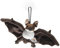 Uni-Toys - Fledermaus, klein - braun-weiß - Mit Saugnapf - 23 cm (Breite) - Plüschtier, Kuscheltier