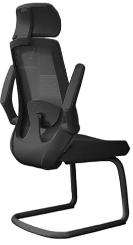 ZKALQECNF Siege de Bureau Chaises de Bureau Chaise de Bureau Ergonomique avec Main Courante réglable Soutien Lombaire Chaise de Direction Fauteuil de Bureau(Noir)