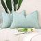 Madizz 2er Set Chenille Samt mit Rand Kissenbezüge Weiche Dekorativ Zierkissenbezüge Modern Kissenhülle für Sofa Wohnzimmer Schlafzimmer Aquagrün 30x50 cm