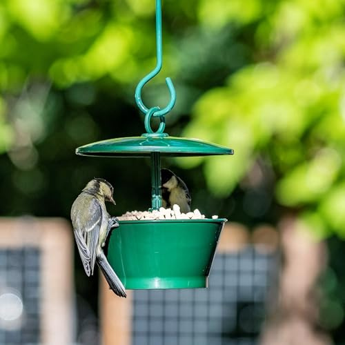 CJ Wildlife Vogelfutterspender für Mehlwurmer – Futterspender Vögel – Vogelhaus aus Metall/Kunststoff Grün – mit höhenverstellbarem Dach – für Meisen, Rotkehlchen, Finken