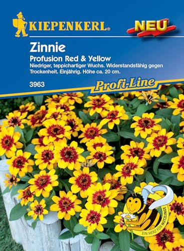 Kiepenkerl Profi-Line Zinniensamen Profusion Red & Yellow 3963 - Niedriger Wuchs - Widerstandsfähig - Höhe ca. 20 cm - Blumensamen, Balkonpflanzen, Saatgut