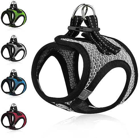 Hundegeschirr für Kleine Hunde No Pull Katzengeschirr mit Reflektierendem Streifen Welpengeschirr für Kleine Hunde XXXS-L Hundegeschirr Step in Hundegeschirr Geschirr für Kleine Hunde (Schwarz,