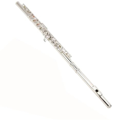 Querflöte Klarinette Holzblasinstrument B-Korpus Aus Palisander Versilberte Tasten Professionelles Testinstrument