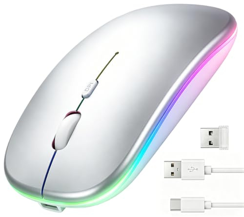 loxeu Wireless Bluetooth Mouse for iPad Mac Rechargeable Dual Mode Silver