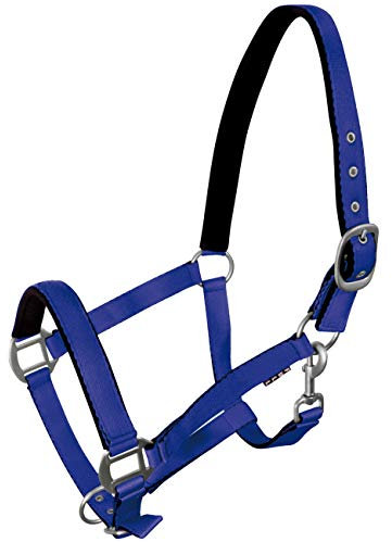York Pferde Halfter Fluo weich unterlegt Stallhalfter Weidehalfter Reithalfter (Pony, blau)