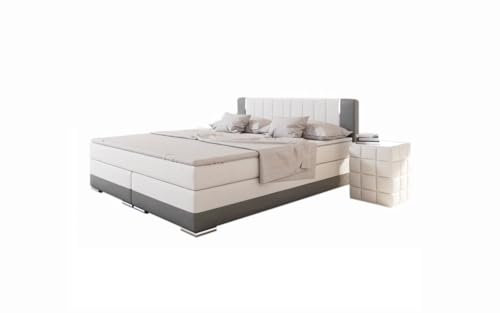 Dynamic24 Boxspringbett 200 x 200cm LED weiß grau Kunstleder Doppelbett Ehebett