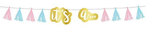 Amscan 220417-55 - The Big Gender Reveal Party Tassel Garland Decoration - 2.4m