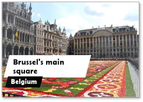 Kühlschrankmagnet, Motiv: Blumen auf Brüsseler Hauptplatz