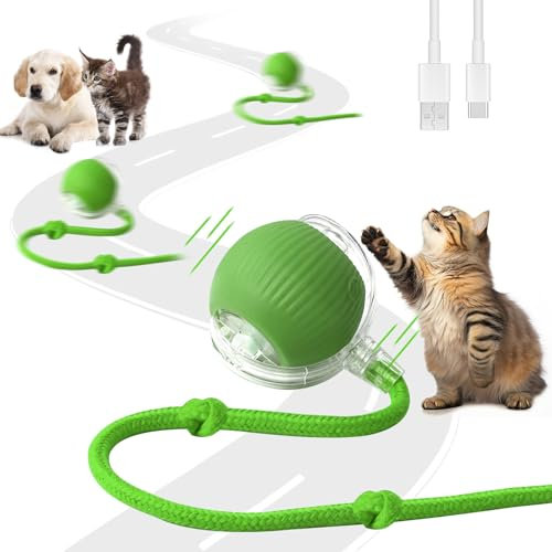 Afaneep Interaktives Katzenspielzeug Katzenball Elektrisch Ball USB-Aufladung Magic Ball Hund Automatisch Rollende 3 Arbeitsmodi Interaktiver Spielball mit Schwanz für Katzen und Hunde(Grün)