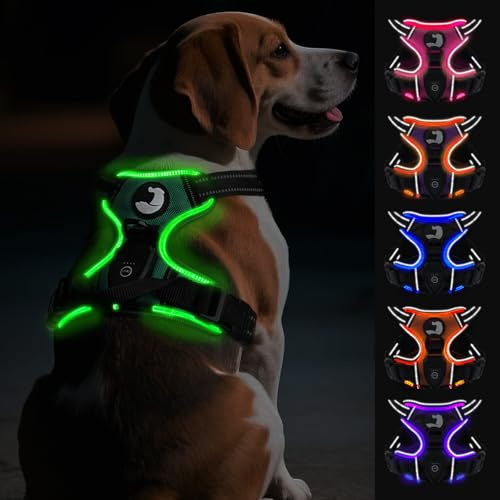 Joytale Hundegeschirr Leuchtend Aufladbar für Mittelgroße Hunde, No Pull LED Hundegeschirr Reflektierend mit Griff, Gepolstertes Leuchtgeschirr Verstellbar für Nachtspaziergang,Grün, M