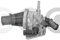 Termostato Fiat 1.3D Mtjd