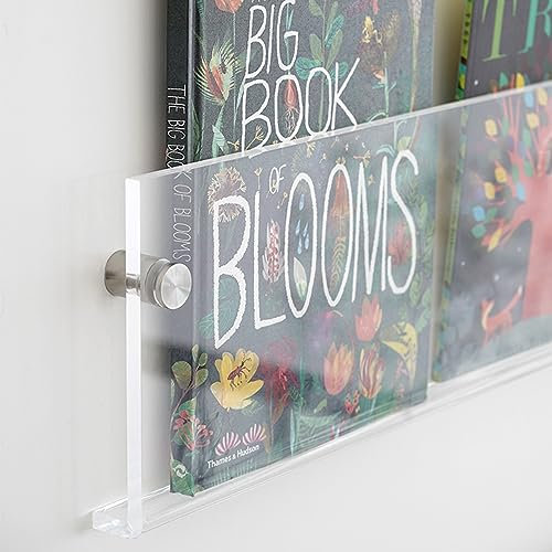 ROYALITA Zeitschriftenhalter aus Acryl, Wanddekoration, schwebende Bücherregale, Wandmontage, Kinderzimmer, Wohnzimmer, Büro, Wartezimmer, 2 Stück