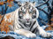 Generic Animal White Tiger DIY Latch Hook Rug Kit with Printed Canvas Floor Mat Crochet Yarn Embroidery Hook and Latch Carpet Tapestry for Home Decoration 52x38 cm - Adults Kid - False