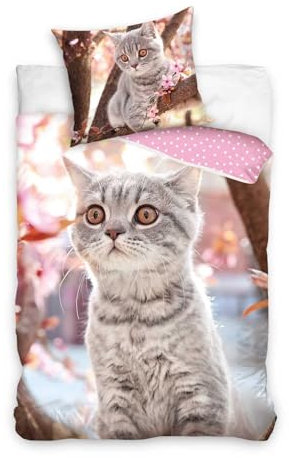 Carbotex Bettwäsche-Set mit Kätzchen 135x200 80x80 Wendebettwäsche Bettzeug Katze Kitten