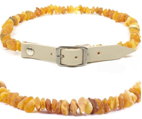 Echte Bernsteinkette für Hund & Katze – Bernstein Halsband mit Verstellbarem Lederband, das deinem Liebling einen einzigartigen Look verleiht. Funkelnd und Trendy! (GRAU, 28-30 cm)