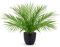 Briful Künstliche Pflanze, 38.1 cm, künstliche Palmenpflanze in mattschwarzem Topf, realistische künstliche tropische Palme, Zimmerpflanze für Zuhause, Innenbereich, Schlafzimmer, Dekorationen