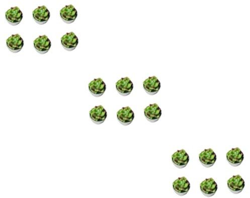 Cabilock 18 Pcs bougies succulentes bougies de mini-bougie plantes succulentes artificielles bougie cactus bougies bougie bougies chauffe-plat des bougies