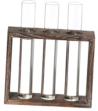 Cabilock 1 Pc Vases Tubulaires pour Fleurs Tubes De La Station De Propagation Vase à Fleurs en Cristal à Longue Tige Station De Propagation des Plantes Vase Vintage Terrarium Bambou Mural