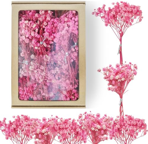 Lot de 65 gypsophiles séchées roses gypsophiles artificielles artificielles pour gypsophile naturelles pour mariage, mini décoration, bricolage