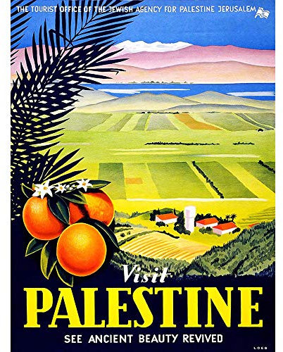 Wee Blue Coo Travel Visit Palestine Jerusalem Orange Israel Vintage Art Print Poster Wall Decor Kunstdruck Poster Wand-Dekor-12X16 Zoll