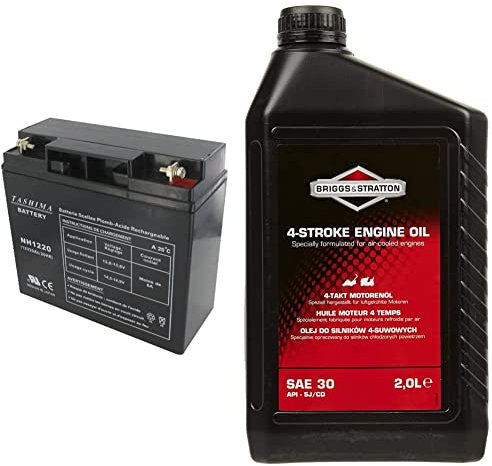 Greenstar 11773 Batterie NH1220 & Briggs & Stratton 100008E Huile Moteur SAE 30, 2.0 litre