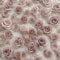 50pcs Mixed 3D Flower Nail Charms Camellia Nail Design Nail Art Rhinestone Rose Flower Nail Decoration Nail Supplies