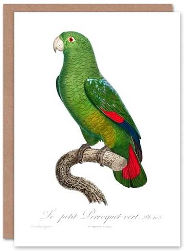 Artery8 Francois Levaillant Art Card The Black Billed Amazon Parrot