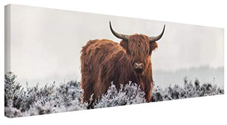 Leinwandbild - Bison in den Highlands Panorama Bild auf Leinwand 50x150 cm