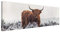 Leinwandbild - Bison in den Highlands Panorama Bild auf Leinwand 50x150 cm