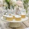 Ginger Ray Team Bride and Floral Print Cupcake Toppers on Wooden Picks Hen Party Cake Decorations 12 Pack