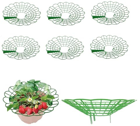 Erdbeerreifer, 6 Stück Schneckenschutz Erdbeerturm, Durchmesser: 29 Cm, Erdbeergitter Fruchtreifer Aus Kunststoff Für Rankhilfe Für Treibhaus, Erdbeeren, Gemüse & Blumen, Topfpflanzen (6 Stücke)
