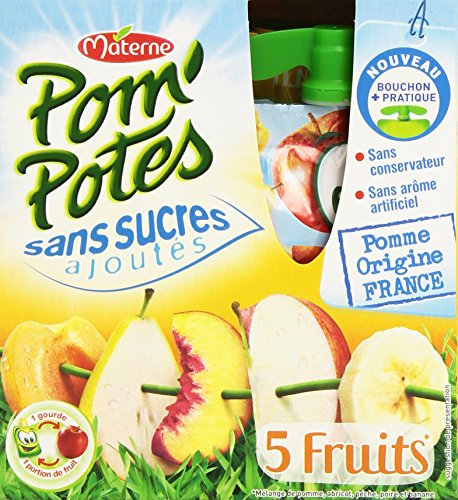 Materne Pom'Potes Gourdes 5 Fruits Pomme & Fruits Jaunes sans Sucres Ajoutés 4 x 90 g - 360 g - Lot de 6