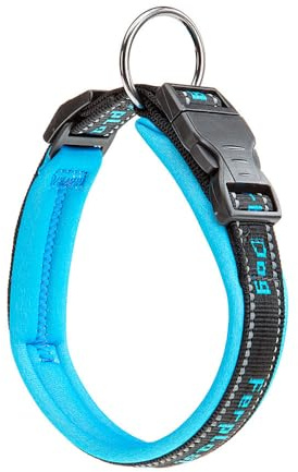 Ferplast Collare Cane SPORT DOG, Collare per Cani, Collare Cani Taglia Grande, Soffice Imbottitura, Cuciture riflettenti, Etichetta per nome dell'animale, Misura: 2,5 cm (35-45 cm), Blu