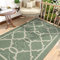 DEXI Door Mat 90 x 150 cm, Doormat Indoor Dirt Trapper Non-slip, Machine Washable Entrance Rug Floor Mat, Super Absorbent Inside Front Door Mat Carpet, Green