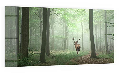 DEQORI Küchenrückwand Glas | Motiv Hirsch zwischen Bäumen | 100x50 cm | Bad- oder Herd-Rückwand | Herdblende Spritzschutz für Küche & Badezimmer | moderne Deko für Fliesenspiegel