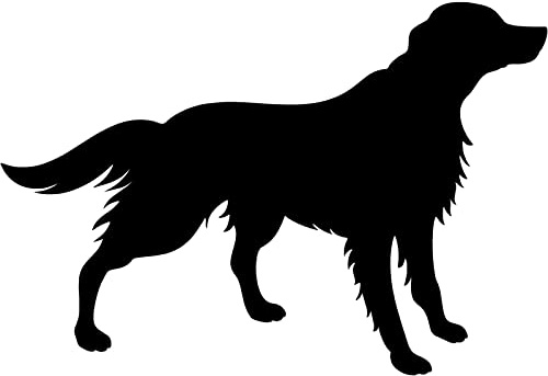 14 cm * 9,6 cm Irish Setter Hund Woolly Cute Dog Auto Vinyl Aufkleber Aufkleber 3ps