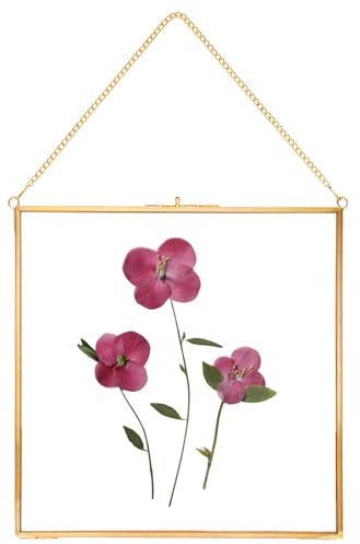 REDHUGO gepresste Blumenrahmen, schwebende Glasrahmen zur Präsentation von getrockneten Pflanzenspezimen, hängender Messing-Fotorahmen mit Kette, doppelt klares Glas, Vintage Wanddekoration, Quadrat
