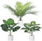 Beinhome Piante Tropicali Artificiali, Monstera & Areca Palma Artificiale & Dieffenbachia (35 cm), Pianta Artificiale per Parete, Camera, Casa, Interno ed Esterno, Decorazione Scaffale, 3 Pezzi