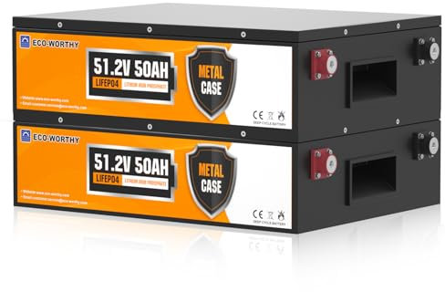 ECO-WORTHY Batería LiFePO4 0% IVA 48 V 50 Ah con BMS y hasta 15000 ciclos, batería de litio de 5120 wh para sistema solar, juego completo, panel solar (2 unidades)