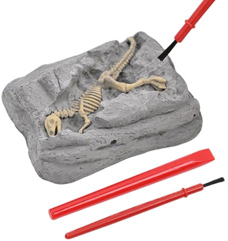 Ausgrabungsset,Paläontologie Set Für Kinder | Fossilienset Wissenschaftliches Lernspiel Geburtstagsgeschenk Bastelprojekt Aktivität für Kinder