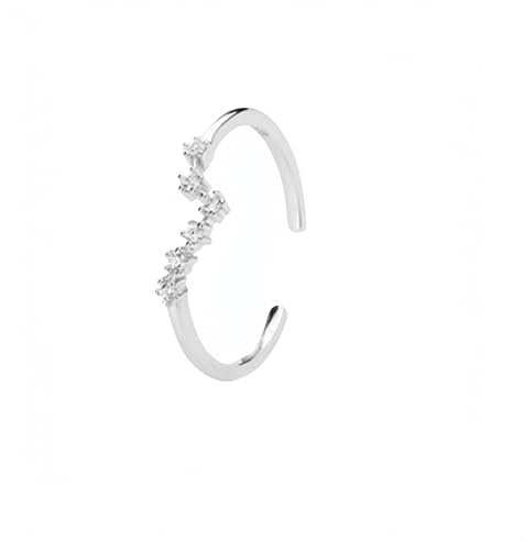 WLLDDDIU 925 Sterling Silber 12 Sternzeichen Ring für Frauen Verstellbarer Offener Daumenring Dünn Stapelbar Horoskop Zirkonia Ehering Schmuck Geschenke für Sie Silber Fische