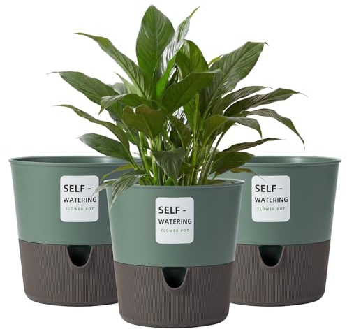 Bamworld Blumentopf Selbstbewässernder Set, Kräuter, Basilikum moderner Hydrokultur-Topf für Küche auf der Fensterbank, Grün，Ø16.5cm 3er-Pack