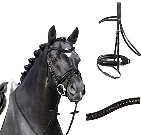 Passier Trense Trensenzaum Apollo schwarz lack Reithalfter Spezial mit Zügel, Größe Pferd:Warmblut