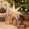 SALCAR LED Weihnachtsstern Beleuchtet Fenster 55cm, Papierstern Weihnachten mit E14 Lampe, 3D Leuchtstern Stehend Adventsstern mit Eisensockel Fuß, Weiß
