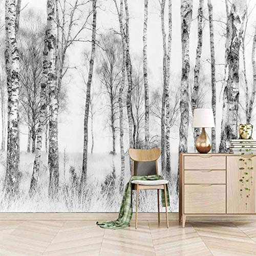Carta Da Parati Moderna 3D 150x100cm Bosco Di Betulle Carta Da Parati Adesiva Muro Fotografica Fotomurali Poster Gigante Wallpaper Murali Murale